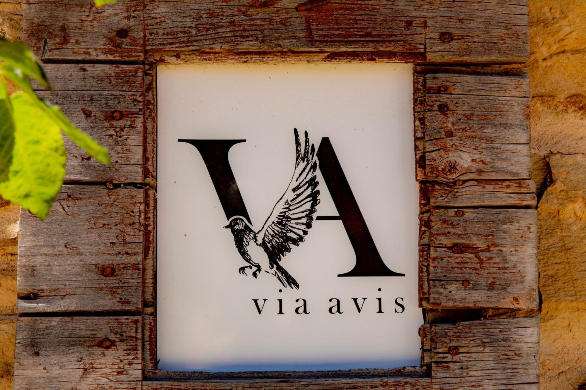 Pensjonat Via Avis Santa Catalina de Somoza Zewnętrze zdjęcie